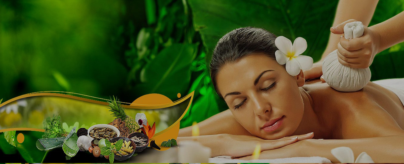 Green Day Spa India Luxury Body Massage Centre In Chennai