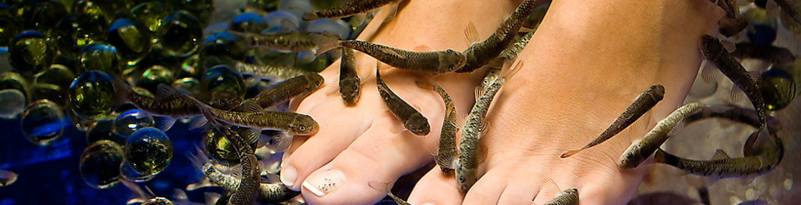 Fish-SPA-Spa-Deals-today.jpg